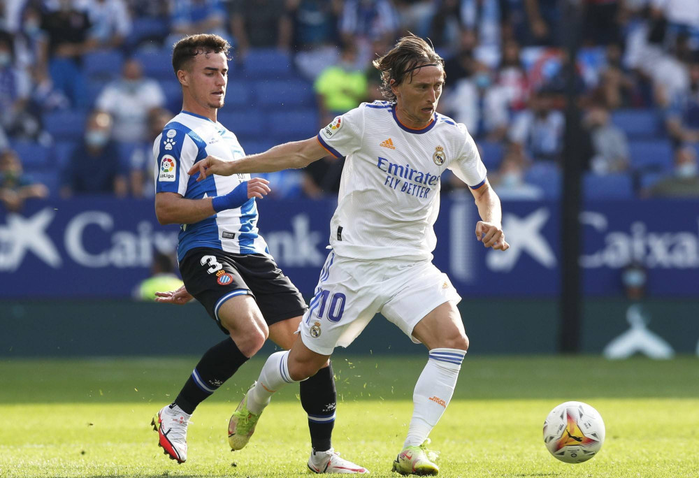 后腰的纵向 后腰的纵向