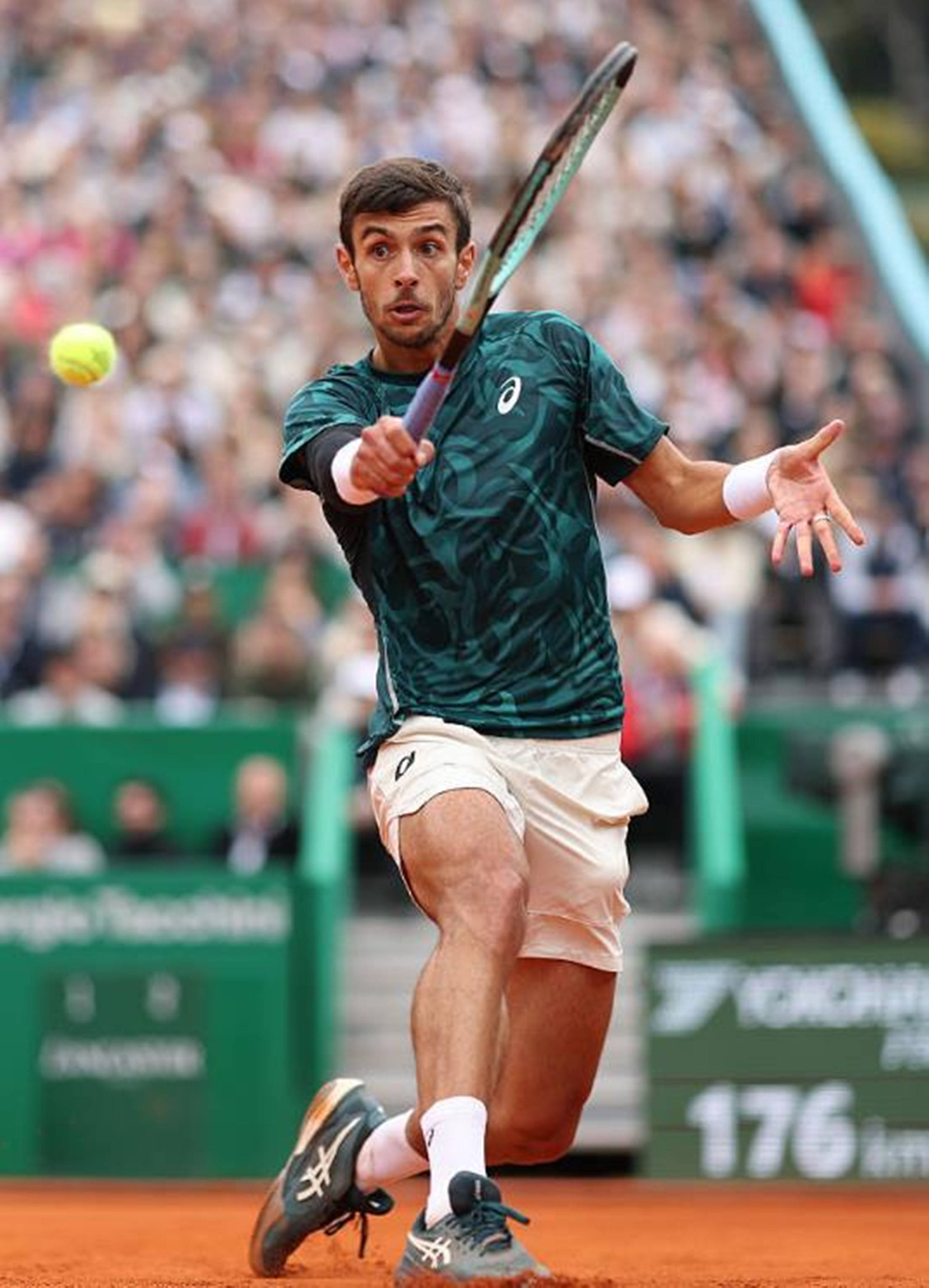 冠军效应正 冠军效应正