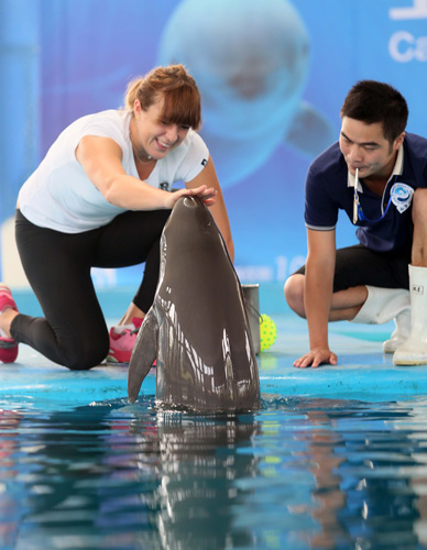 如果他们联 如果他们联